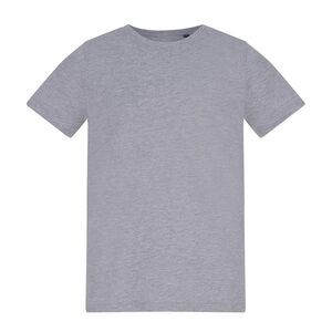 Awdis Childrens/Kids Plain T-Shirt / Heather Grey